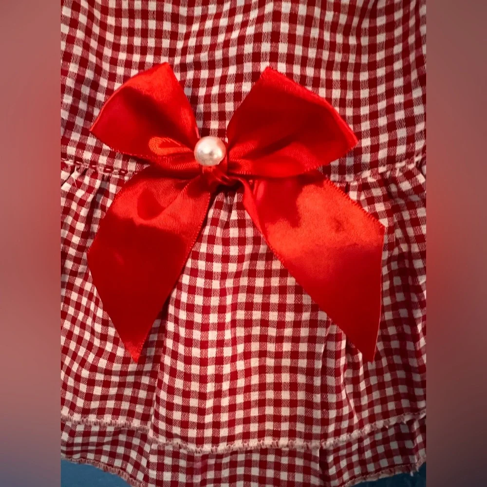 Cat Picnic Style Red Dress Medium